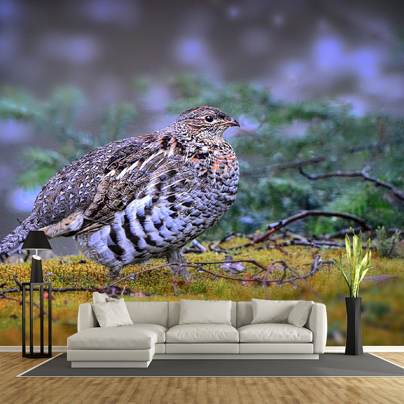 Wild Partridge Mural Contemporary Photography for Living Room Decoration