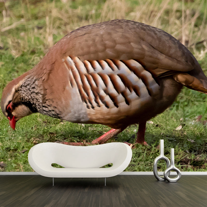 Wild Partridge Mural Contemporary Photography for Living Room Decoration