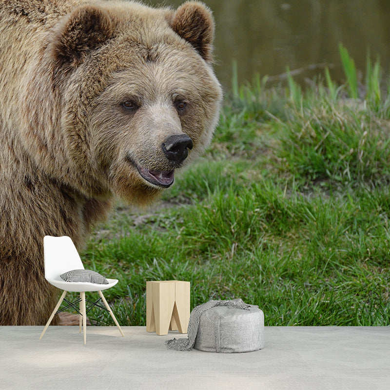 Customized Brown Bear Wall Mural Horizontal Photography for Sleeping Room Decoration