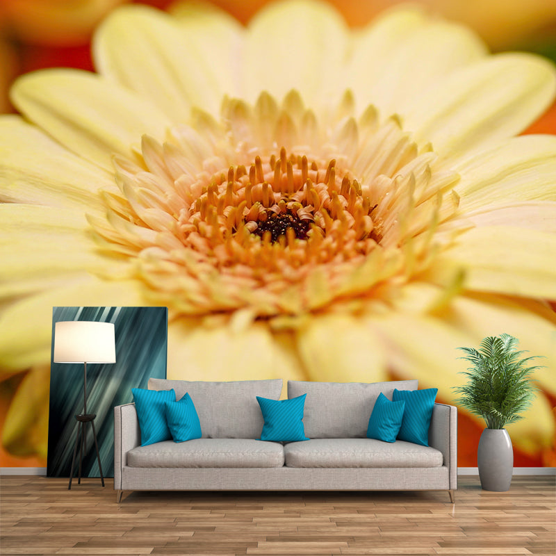 Customized Gerbera Wall Mural Horizontal Photography for Sleeping Room Decoration