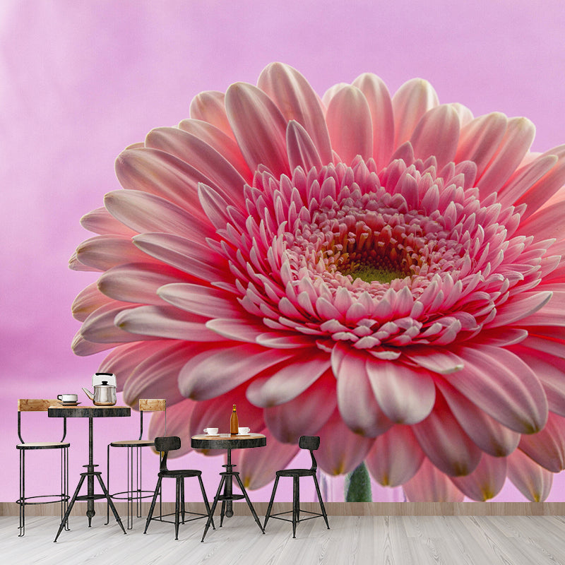 Customized Gerbera Wall Mural Horizontal Photography for Sleeping Room Decoration