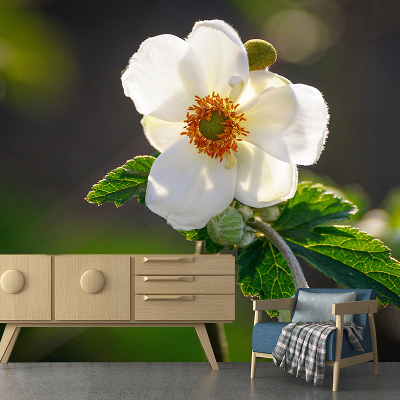 Customized Anemone Flower Mural Horizontal Photography for Sleeping Room
