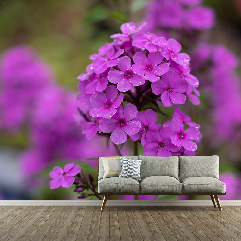 Customized Phlox Flower Wall Mural Horizontal Photography for Sleeping Room