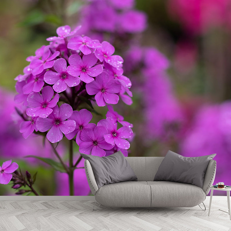 Customized Phlox Flower Wall Mural Horizontal Photography for Sleeping Room
