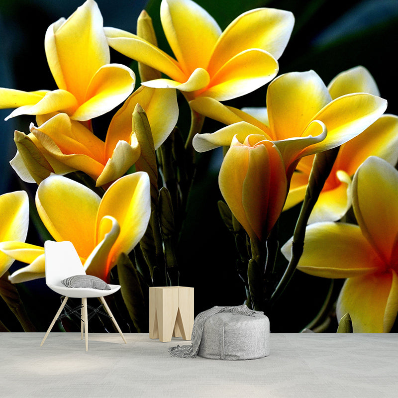 Customized Plumerias Flower Wall Mural Horizontal Photography for Sleeping Room