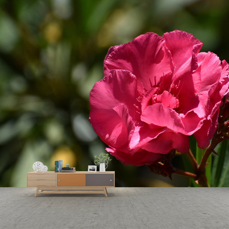 Customized Oleander Flower Wall Mural Horizontal Photography for Sleeping Room