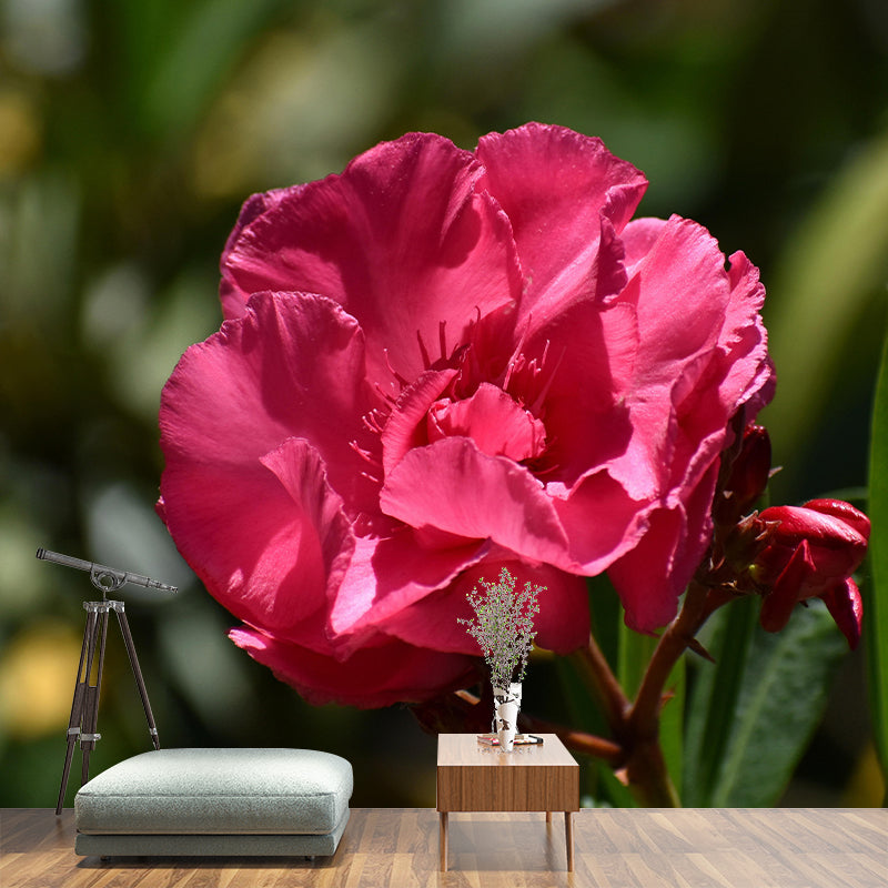 Customized Oleander Flower Wall Mural Horizontal Photography for Sleeping Room
