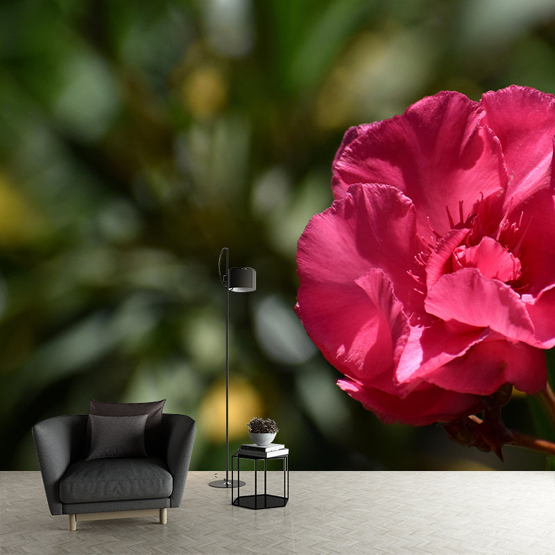 Customized Oleander Flower Wall Mural Horizontal Photography for Sleeping Room