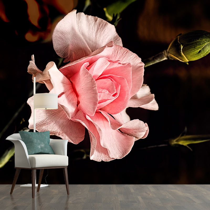 Carnation Blooming Mural Contemporary Photography for Living Room Decoration
