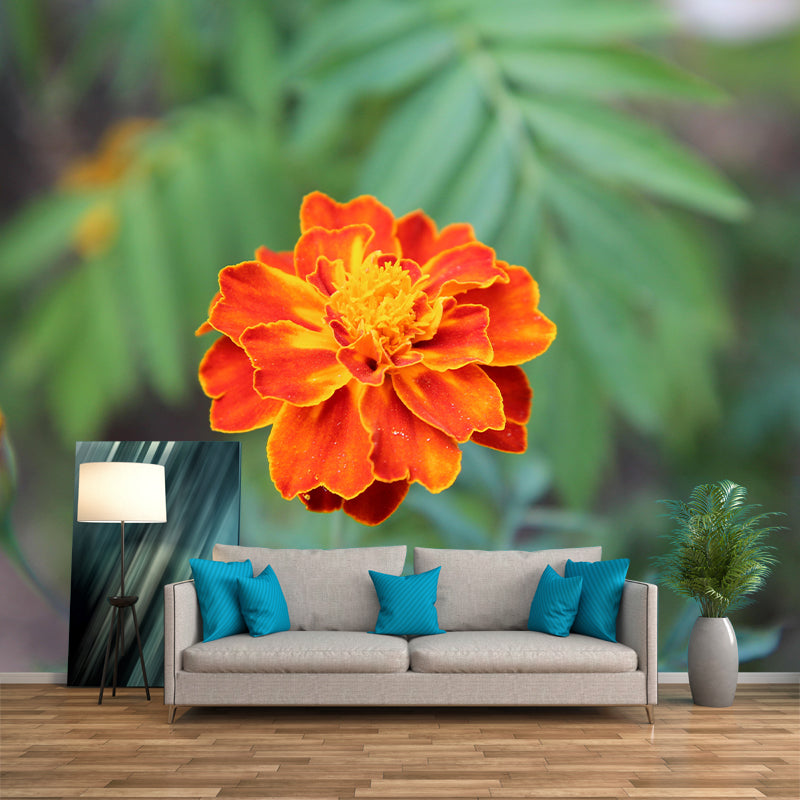 Carnation Blooming Mural Contemporary Photography for Living Room Decoration
