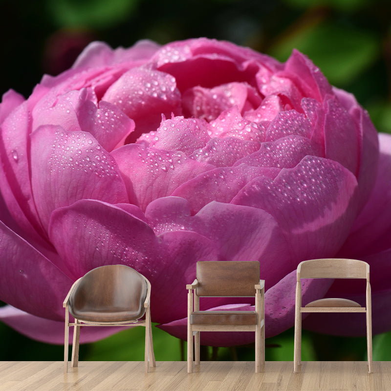 Customized Water Drop Flower Mural Horizontal Photography for Sleeping Room