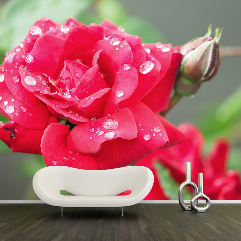 Customized Rose Flower Wall Mural Horizontal Photography for Sleeping Room Decoration