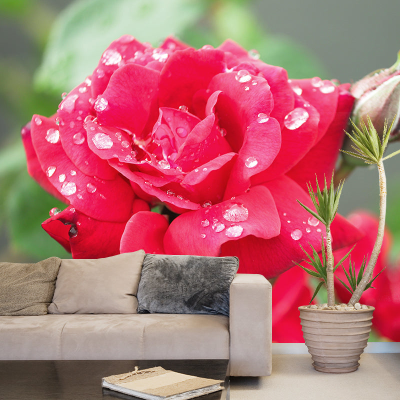 Customized Rose Flower Wall Mural Horizontal Photography for Sleeping Room Decoration