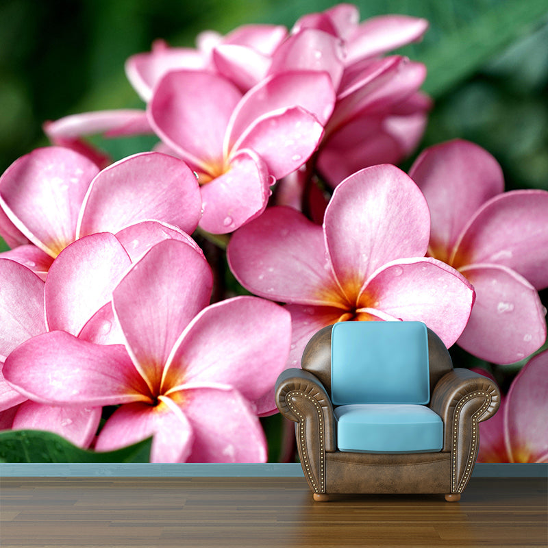 Customized Plumerias Flower Wall Mural Horizontal Photography for Sleeping Room Decoration