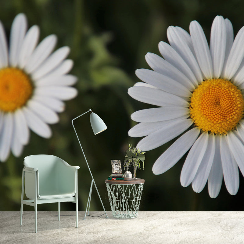 Customized Chamomile Flower Wall Mural Horizontal Photography for Sleeping Room Decoration