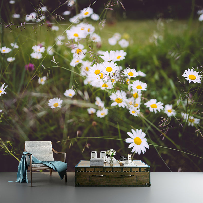 Customized Chamomile Flower Wall Mural Horizontal Photography for Sleeping Room Decoration