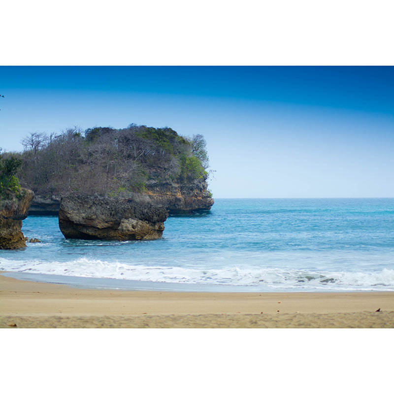 Tropical Beach View Wall Mural for Sleeping Room Home Decor, Made to Measure