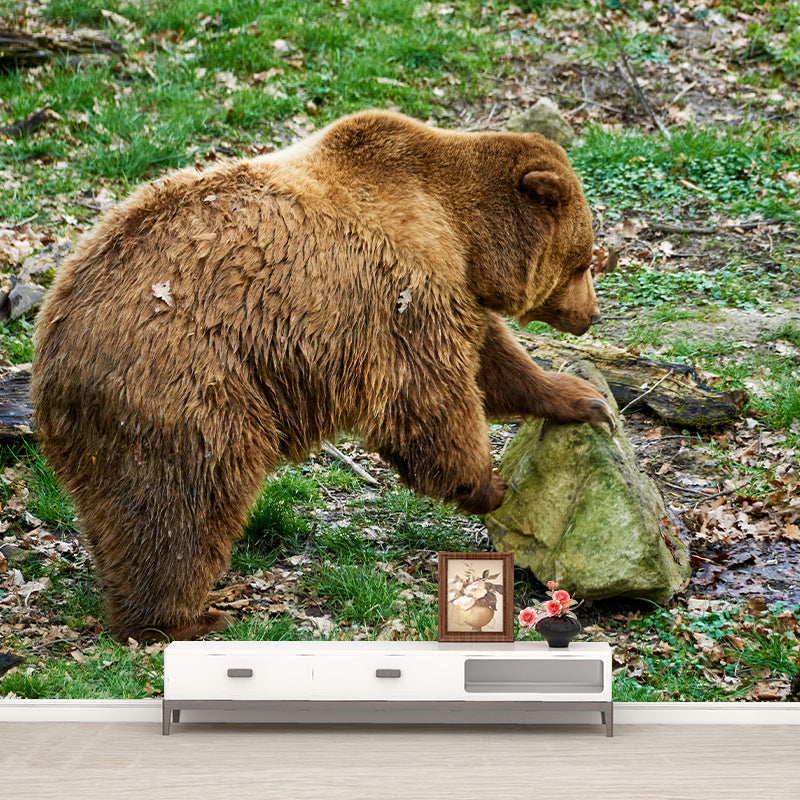 Brown Bear Wall Covering for Living Room Decor, Water Resistant, Customized Size Available