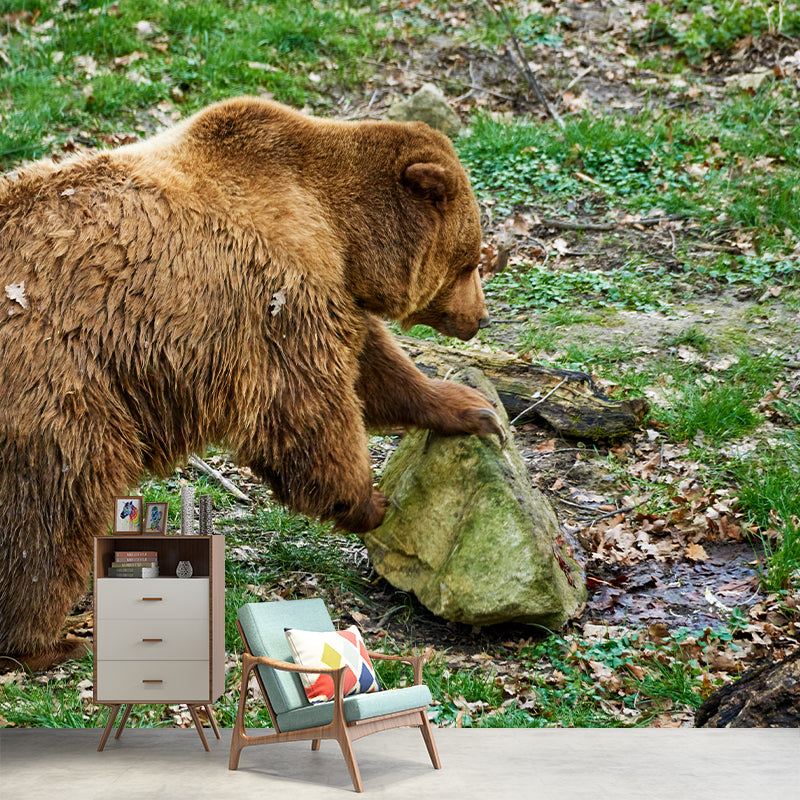 Brown Bear Wall Covering for Living Room Decor, Water Resistant, Customized Size Available