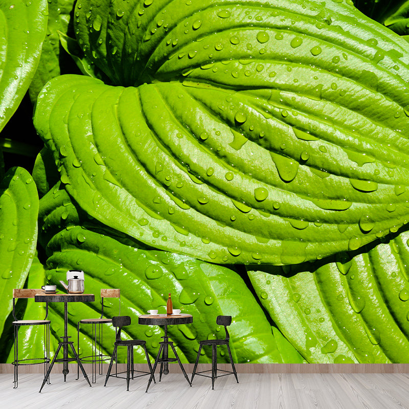 Plant Indoor Decorations Mural Wallpaper for Sleeping Room, Mildew Resistant