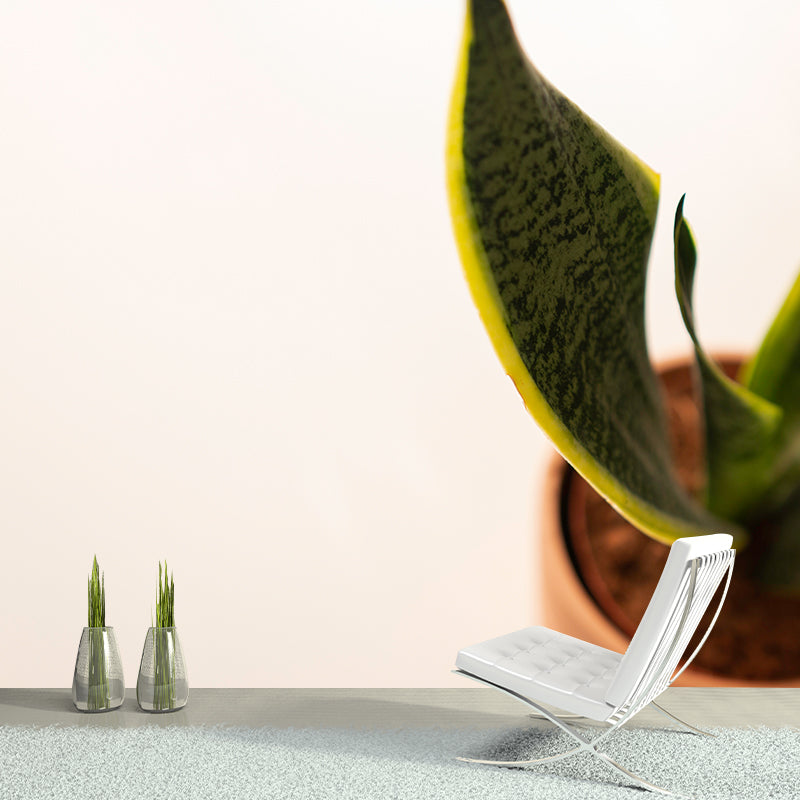 Plant Indoor Decorations Mural Wallpaper for Sleeping Room, Mildew Resistant