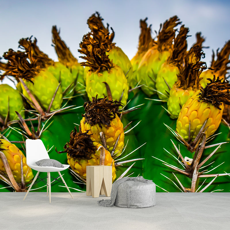 Prickly Cactus Minimalism Style Mural Wallpaper for Reading Room, Customized Size Available
