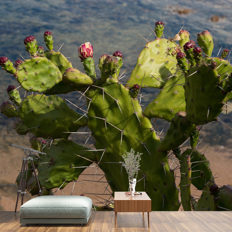 Prickly Cactus Minimalism Style Mural Wallpaper for Reading Room, Customized Size Available