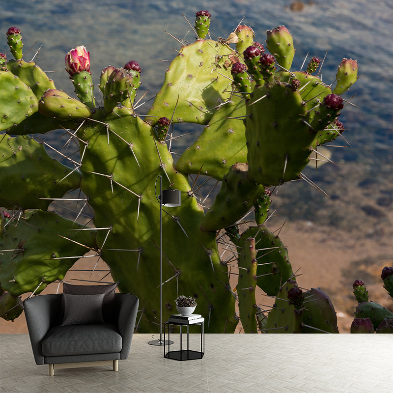 Prickly Cactus Minimalism Style Mural Wallpaper for Reading Room, Customized Size Available