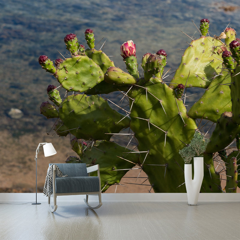Prickly Cactus Minimalism Style Mural Wallpaper for Reading Room, Customized Size Available
