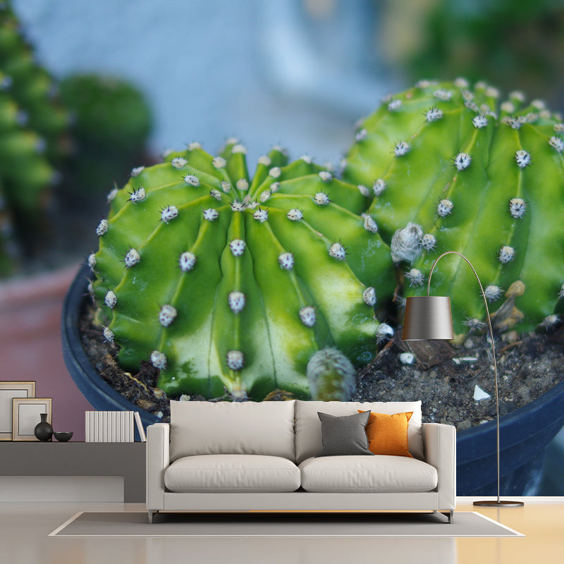 Full Size Prickly Cactus Removable Wall Mural for Reading Room, Customized Size Available