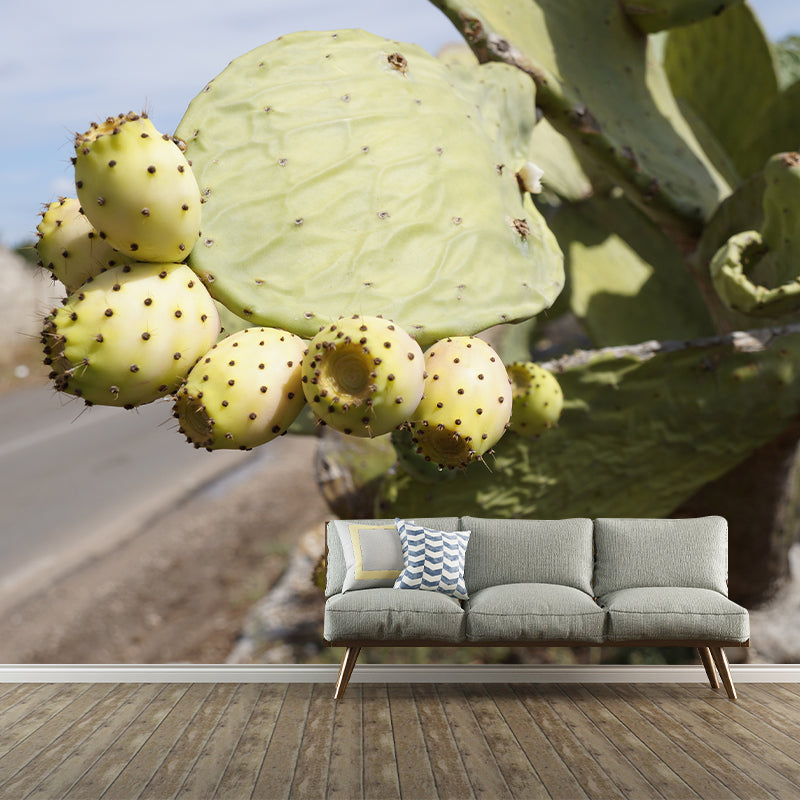 Minimalism Style Prickly Cactus Wall Mural for Reading Room, Mildew Resistant