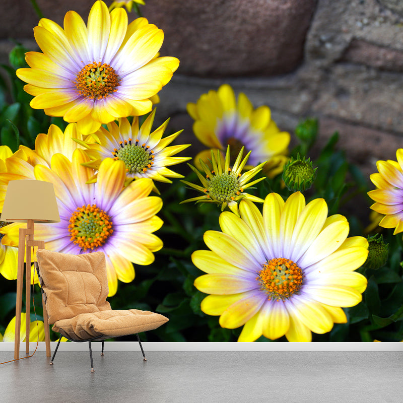 Beautiful Chrysanthemum Mural Wallpaper Customized Wall Decor for Girls Bedroom