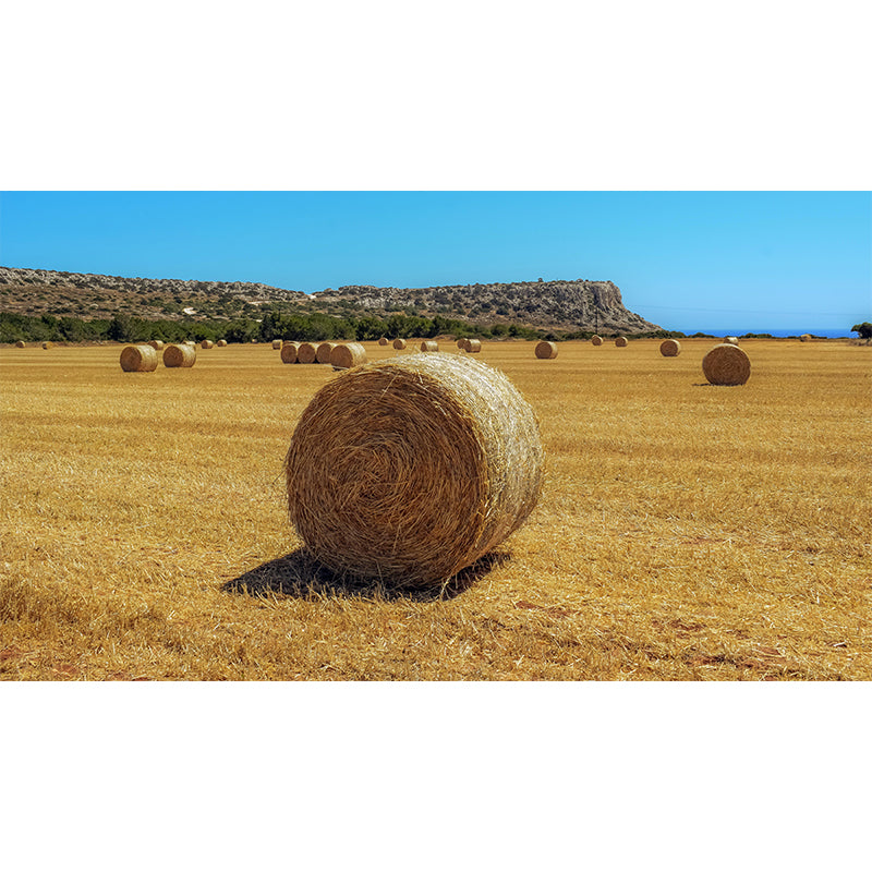 Horizontal Photography Straw Bales Mural Moisture Resistant for Sitting Room