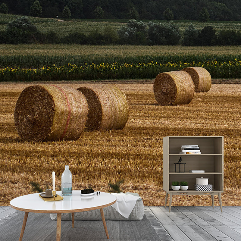 Contemporary Moisture Resistant Bales Mural Wall Covering for Decoration