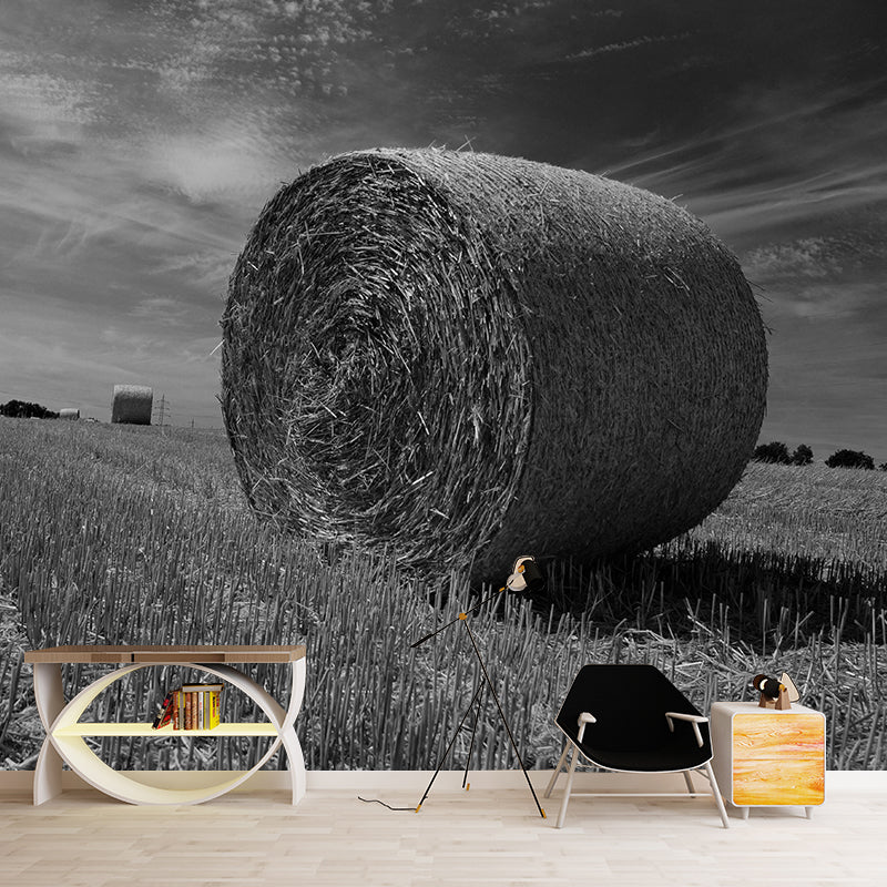 Contemporary Moisture Resistant Bales Mural Wall Covering for Decoration