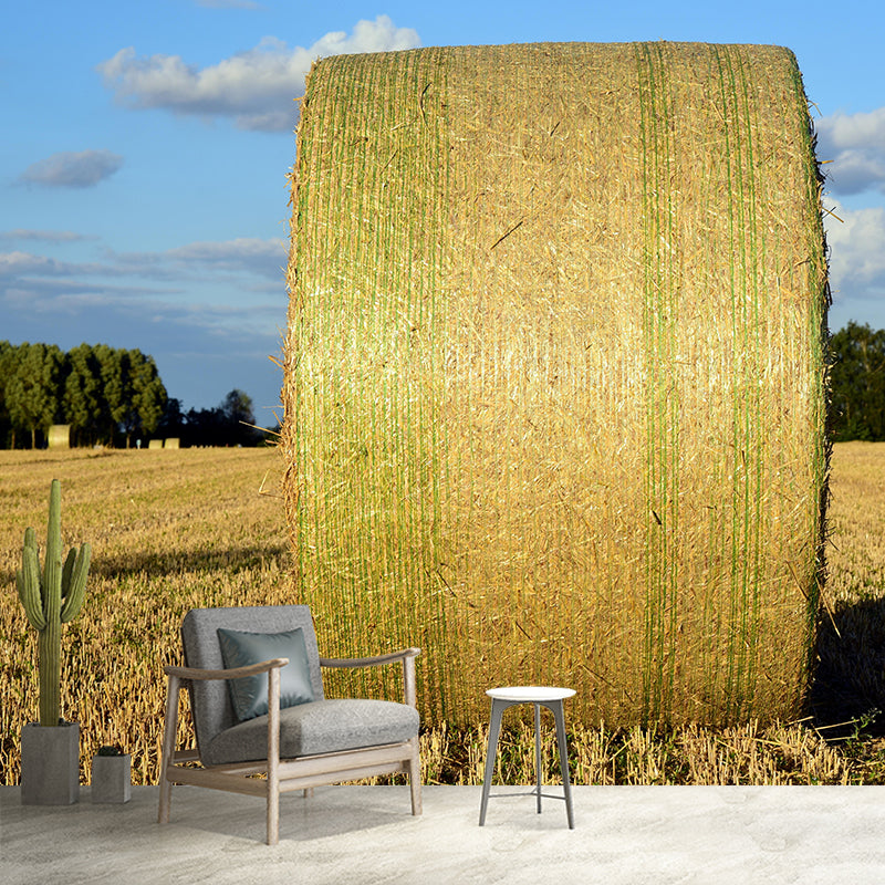 Moisture Resistant Straw Bales Mural Wall Covering for Kitchen Wall Decor