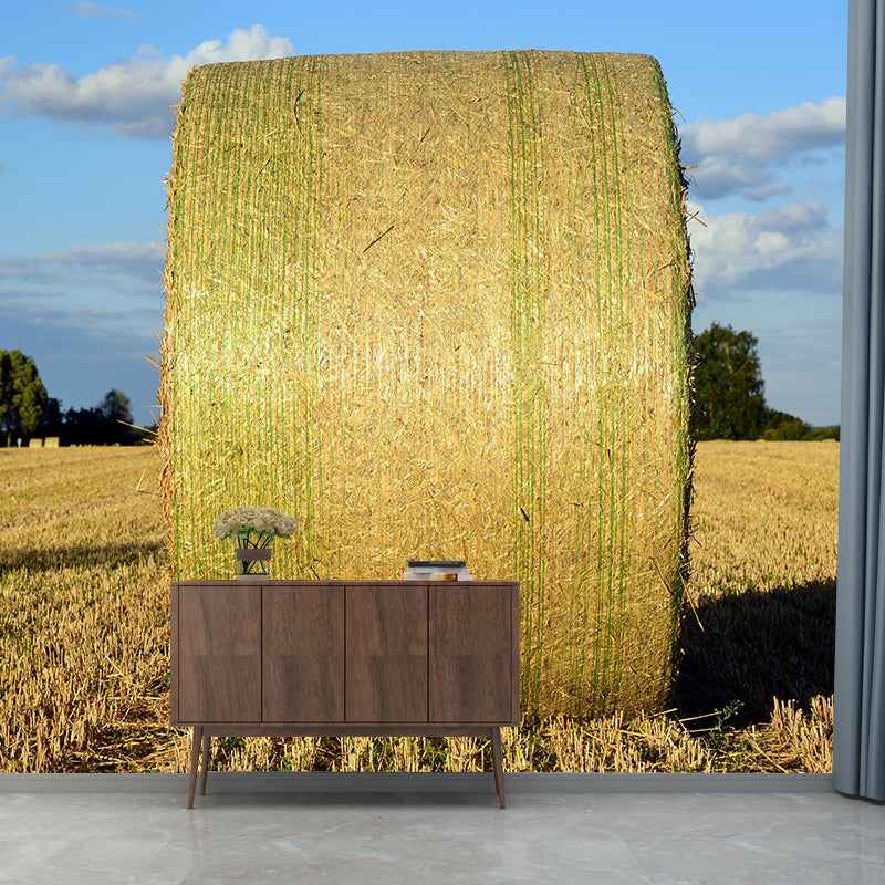 Moisture Resistant Straw Bales Mural Wall Covering for Kitchen Wall Decor