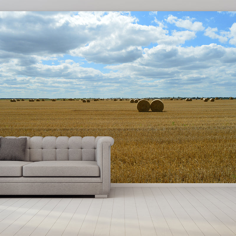 Moisture Resistant Straw Bales Mural Wall Covering for Kitchen Wall Decor