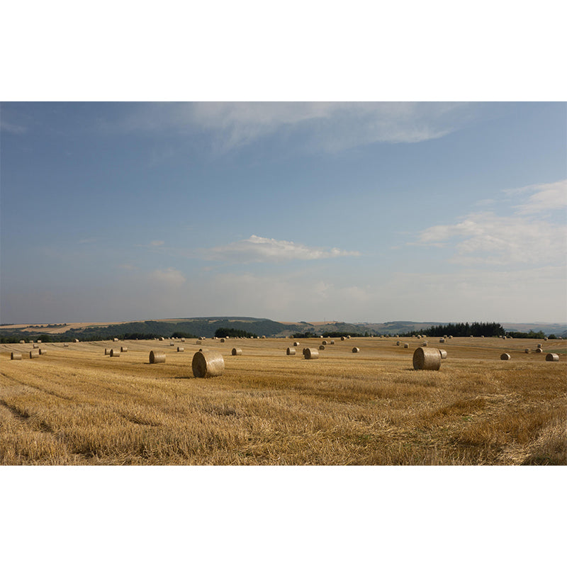 Moisture Resistant Straw Bales Mural Wall Covering for Living Room Wall Decor