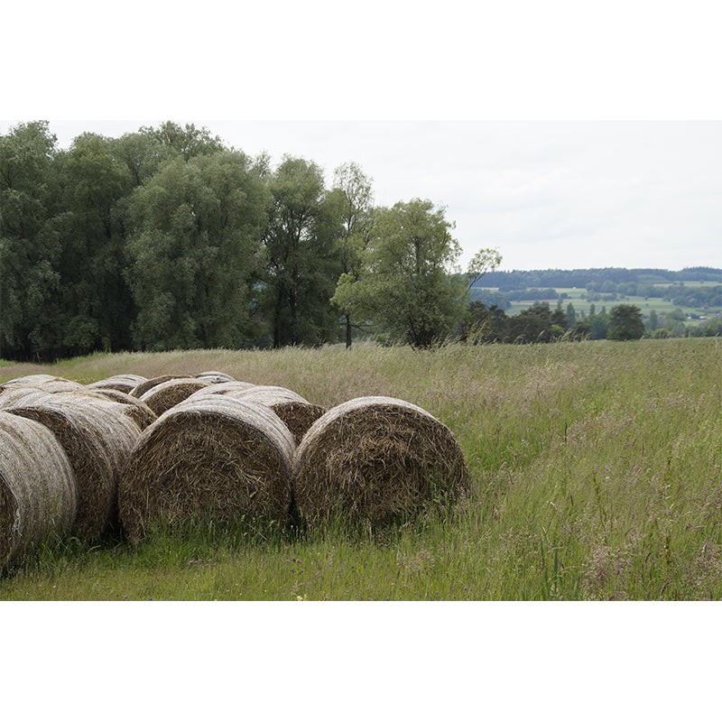 Horizontal Photography Straw Bales Mural Moisture Resistant for Home Decoration