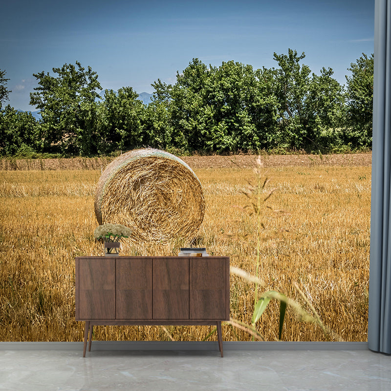 Horizontal Photography Straw Bales Mural Moisture Resistant for Home Decoration