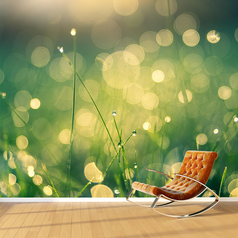 Contemporary Environment Friendly Bokeh Mural Wall Covering Wall Decor