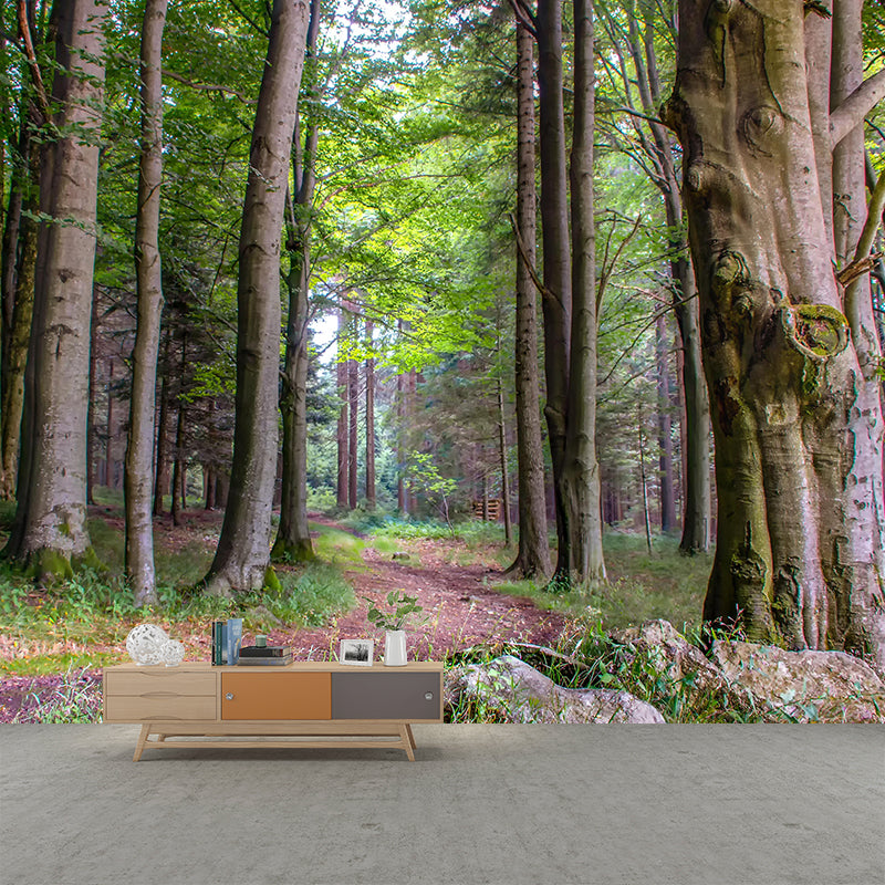 Contemporary Moisture Resistant Forest Mural Wall Covering for Living Room