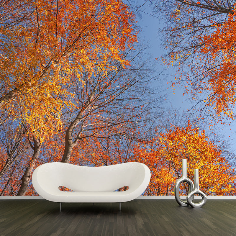 Contemporary Moisture Resistant Forest Mural Wall Covering for Living Room