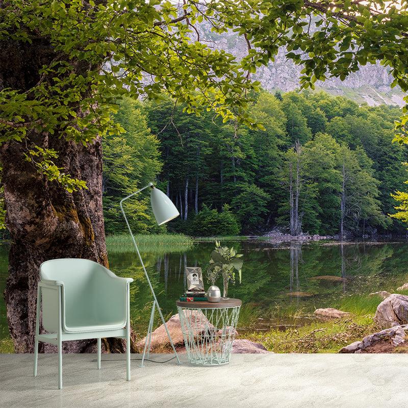 Contemporary Moisture Resistant Forest Mural Wall Covering for House Wall Decor