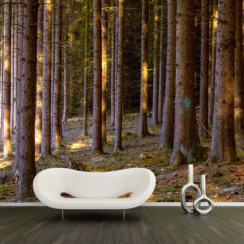 Contemporary Moisture Resistant Forest Mural Wall Covering for House Wall Decor