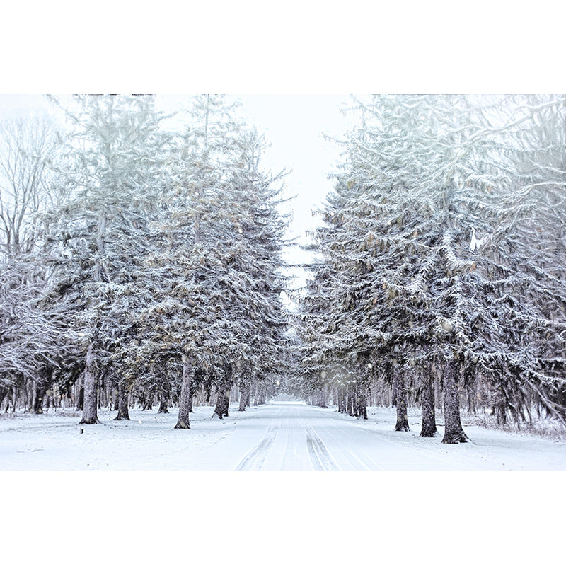 Contemporary Moisture Resistant Forest Mural Wall Covering for Kitchen Wall Decor