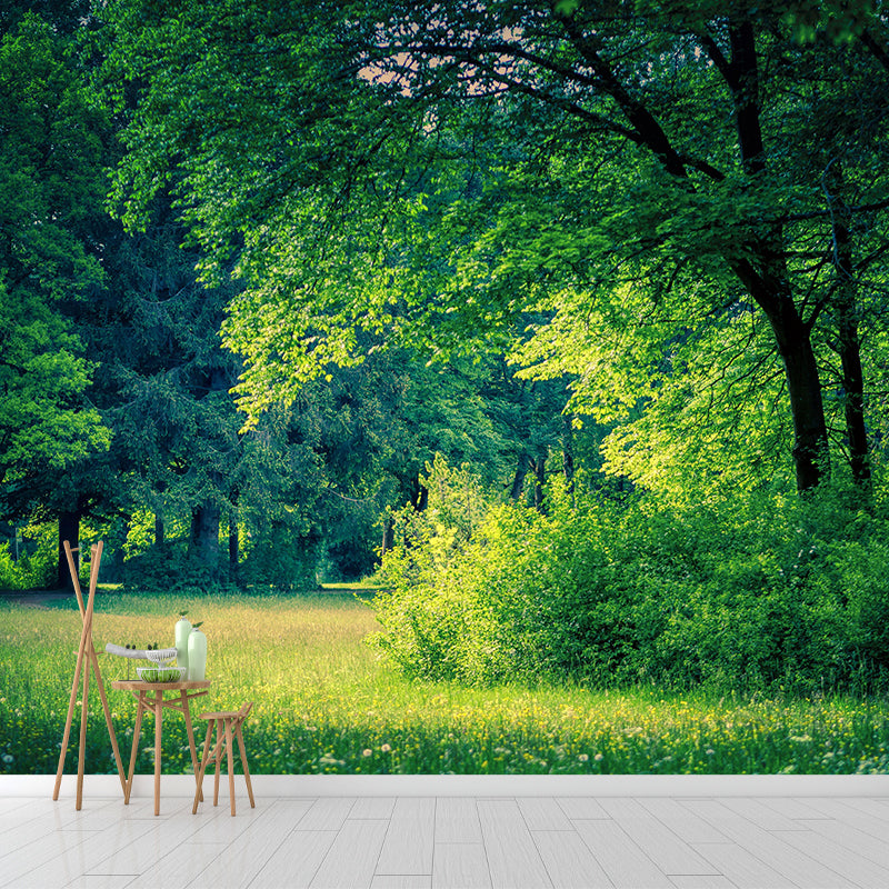 Contemporary Moisture Resistant Forest Mural Wall Covering for Kitchen Wall Decor