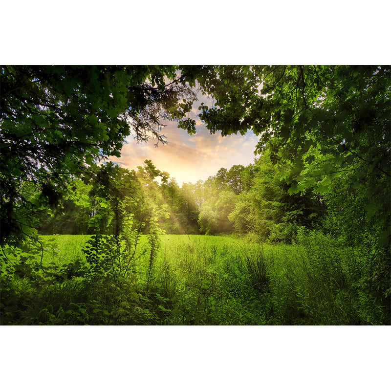 Moisture Resistant Forest Mural Wall Covering for Dining Room Wall Decor