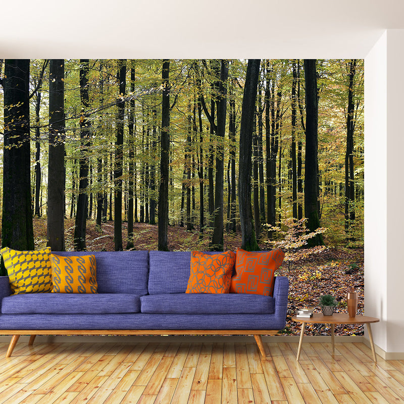 Contemporary Moisture Resistant Forest Mural Wall Covering for Dining Room Wall Decor